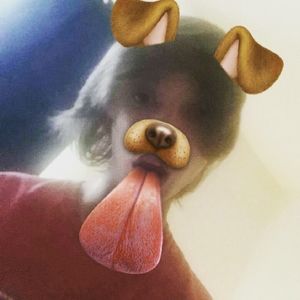 Meet your Posher, Thomas